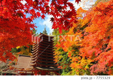 談山神社 十三重塔と紅葉 談山神社 十三重塔と紅葉 7755329