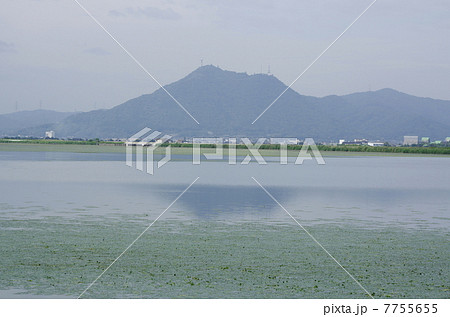 児島湖に映る薄曇りの逆さ児島富士(常山） 7755655
