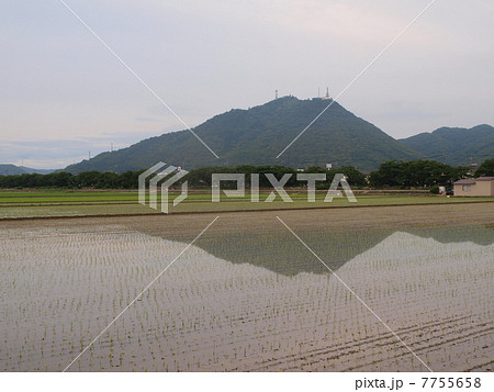 水をたたえた稲田に映る児島富士(常山） 7755658