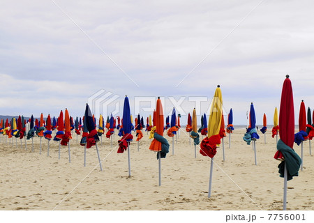 ドーヴィル Deauville ドーヴィル Deauville 7756001