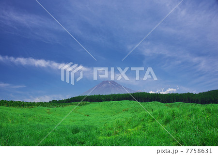 夏の富士山 7758631