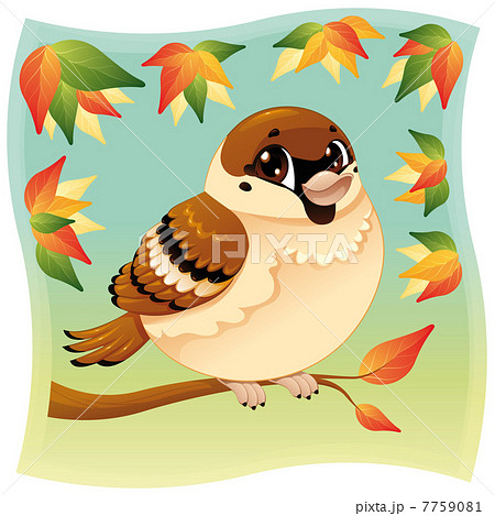 Funny little sparrow on a branch. Funny little sparrow on a branch. 7759081