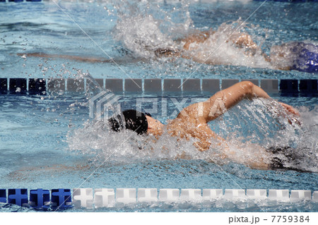 クロール 7759384