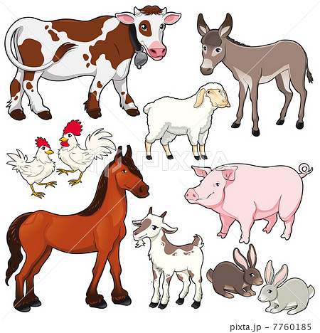 Farm animals. 7760185
