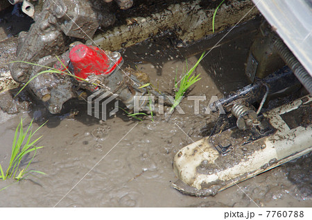 田植機による田植え 田植機による田植え 7760788