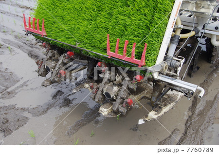 田植機による田植え 7760789