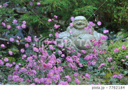 京都　善峯寺の庭園 7762184