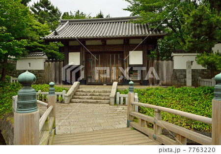 さきたま散歩・忍城址 7763220