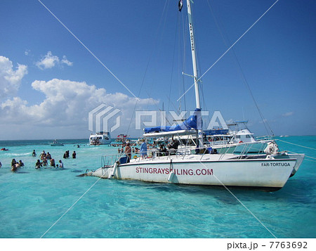 アカエイと泳ぐツアー５ 7763692