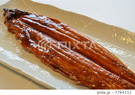 鰻の蒲焼 7764152