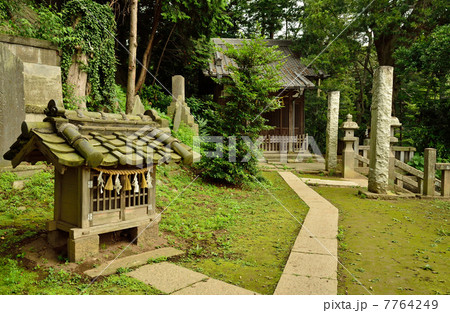 さきたま散歩・浅間神社 さきたま散歩・浅間神社 7764249