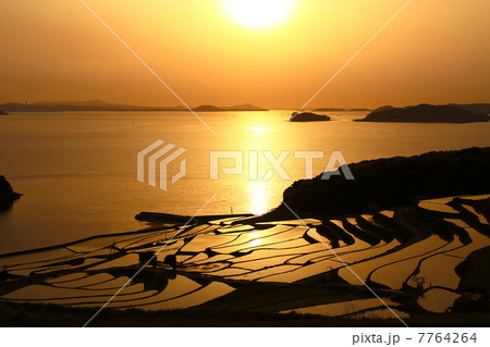 夕暮れの土谷棚田 7764264