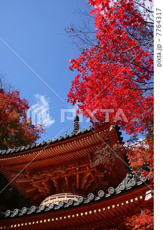 大威徳寺 紅葉の多宝塔 大威徳寺 紅葉の多宝塔 7764317