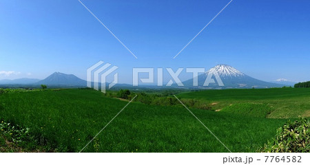 初夏の羊蹄山 7764582