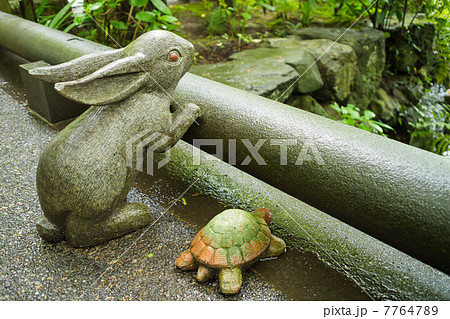 明月院の兎と亀の像 7764789