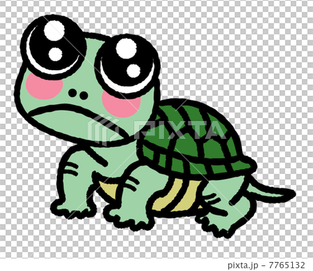 カメちゃんのイラスト素材 [7765132] - PIXTA