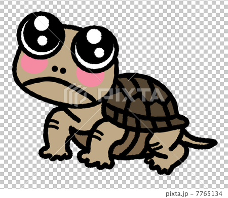 カメちゃんのイラスト素材 [7765134] - PIXTA