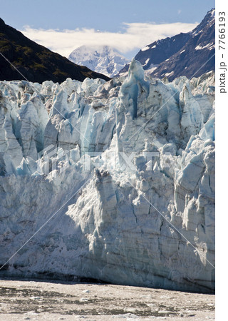 USA - Alaska - Glacier Bay  7766193