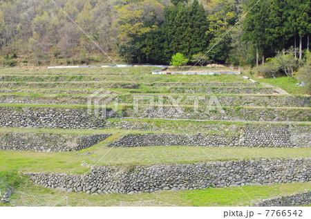 斜面を利用した棚田 7766542
