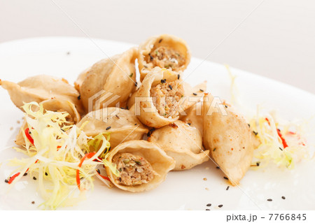 fried meat dumplings 7766845