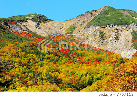 乗鞍岳の紅葉 7767115