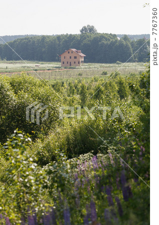 Unfinished wooden house Unfinished wooden house 7767360