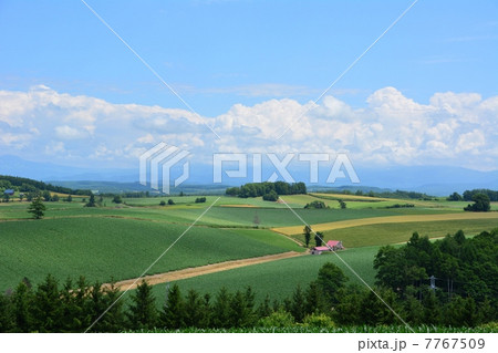 美瑛の風景・赤い屋根の家 美瑛の風景・赤い屋根の家 7767509