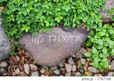 Rock and gravel Rock and gravel 7767706