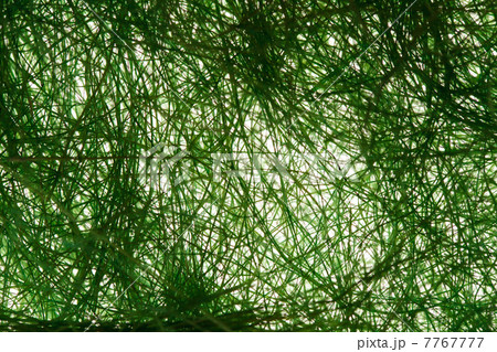 Natural sisal Natural sisal 7767777