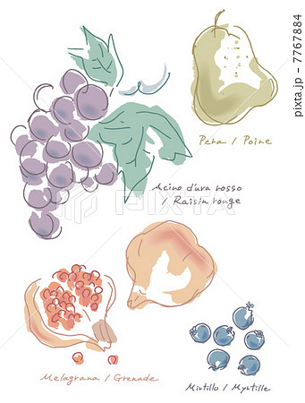 くだもの 果物 フルーツ イラストのイラスト素材 7767884 Pixta