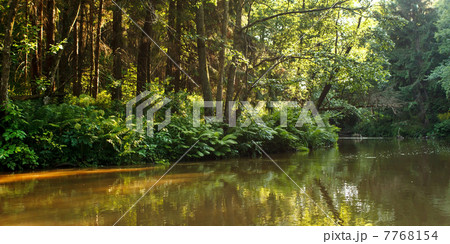 Forest river 7768154