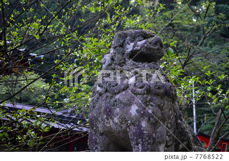 箱根神社 狛犬(2013.7) 箱根神社 狛犬(2013.7) 7768522