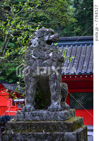 箱根神社 狛犬(2013.7) 箱根神社 狛犬(2013.7) 7768527
