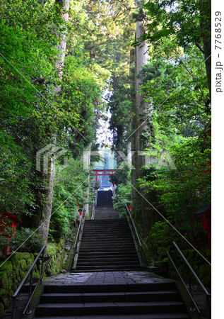 箱根神社（2013.7） 7768529