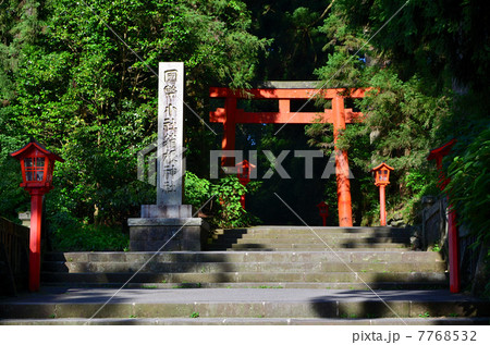 箱根神社 第三鳥居(2013.7) 箱根神社 第三鳥居(2013.7) 7768532