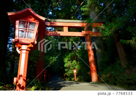 箱根神社 第三鳥居(2013.7) 箱根神社 第三鳥居(2013.7) 7768533