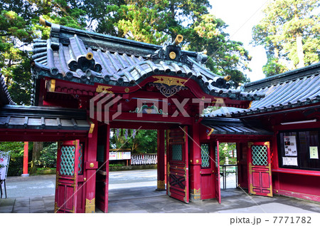 箱根神社(2013.7) 箱根神社(2013.7) 7771782