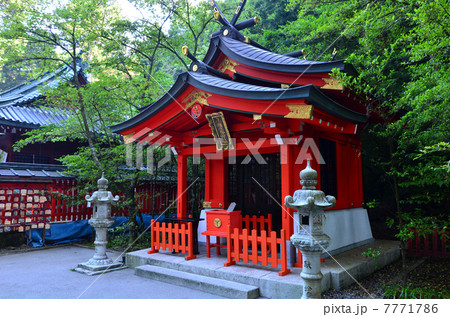 箱根神社　九頭龍神社新宮（2013.7） 7771786
