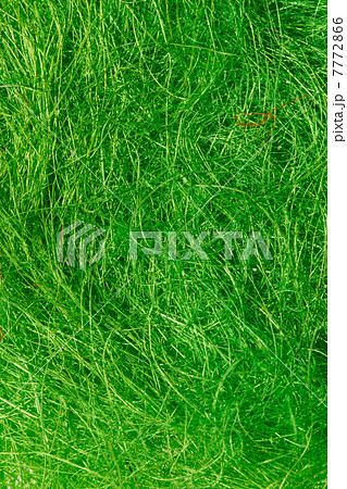 Natural sisal 7772866