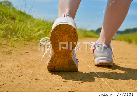 荒野を歩く 7773101