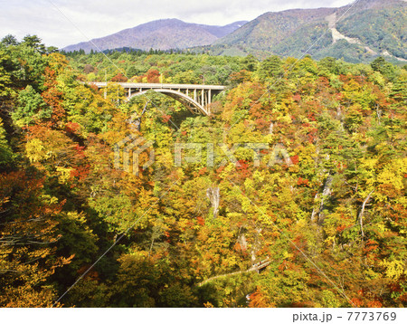鳴子峡の紅葉 7773769