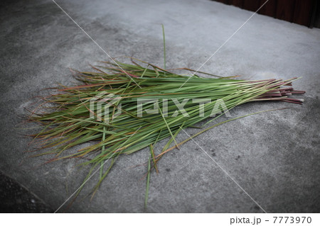 レモングラス 7773970