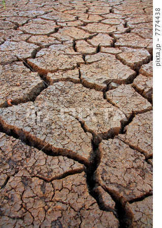 Land with dry and cracked 7774438