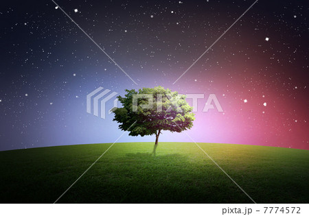 cep_kky_1884015 7774572