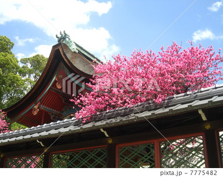 御香宮神社 7775482