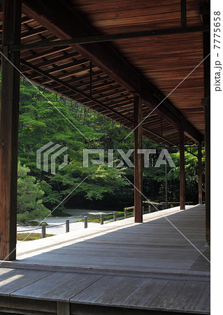 新緑の天授庵 7775658