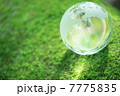 エコイメージ 7775835