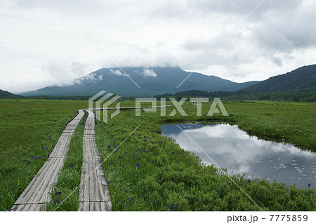 尾瀬ヶ原　さわやかな朝 7775859