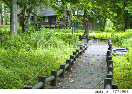 姫川源流自然探勝園の木道 7776968