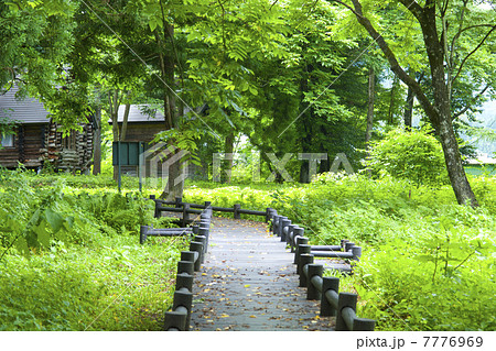 姫川源流自然探勝園の木道 7776969